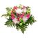 Alice. This tender and touching bouquet of chrysanthemums and carnations will be a great reminder about warm days you&#39;ve spent together. . India